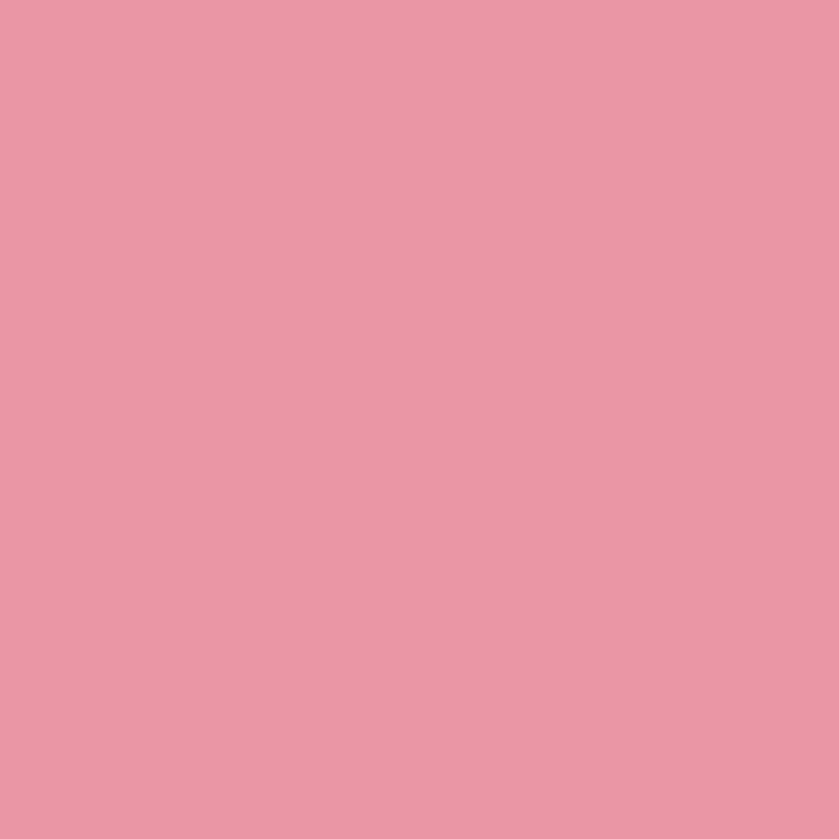 B237 Baroque Rose